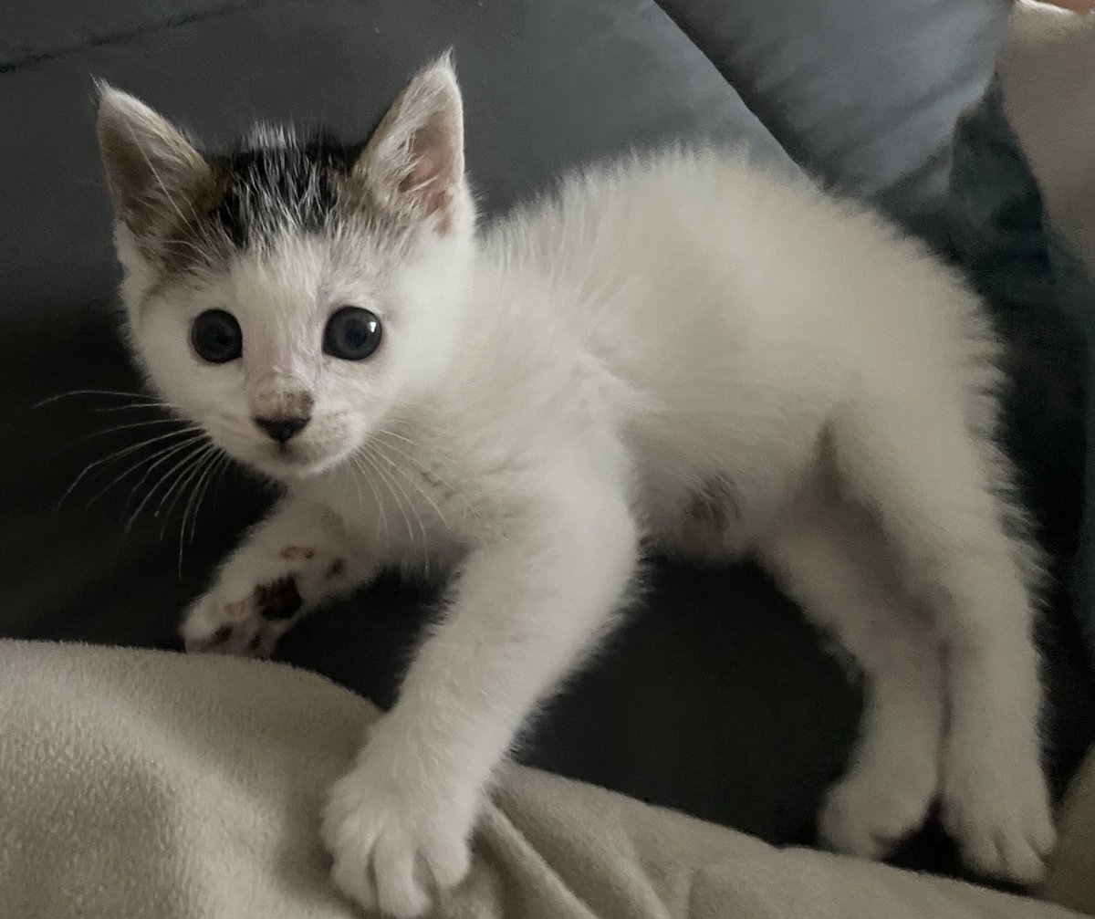 이따만큼 컸따!