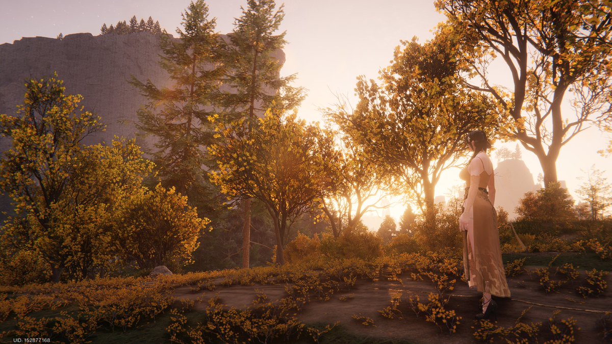 heypoppy_'s tweet image. Golden hour in the woods. 🍂
@OnceHuman_
#oncehuman #oncehumanmobile #gaming #openworld #ワンスヒューマン #ワンスヒューマンしてる人と繋がりたい  #攻略 #OnceHuman募集 #VirtualPhotography