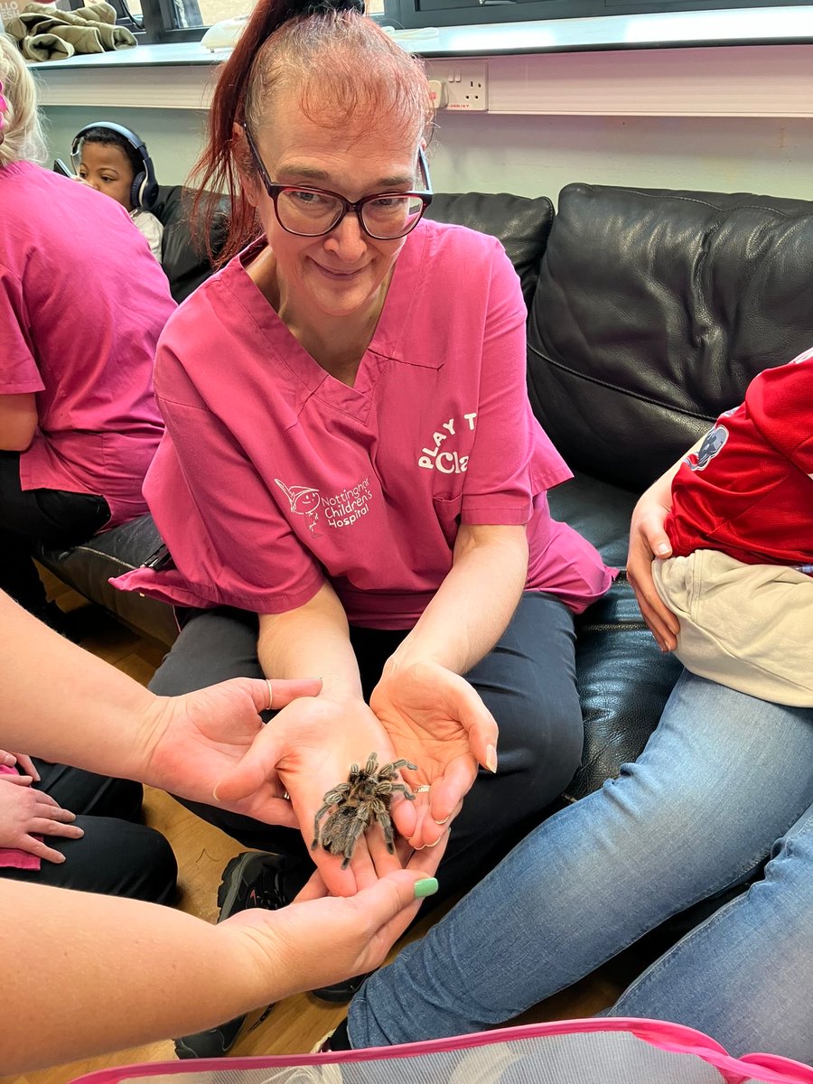 NCH Play Service tweet media