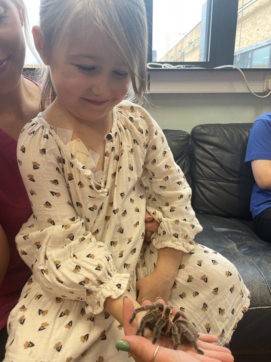 NCH Play Service tweet media