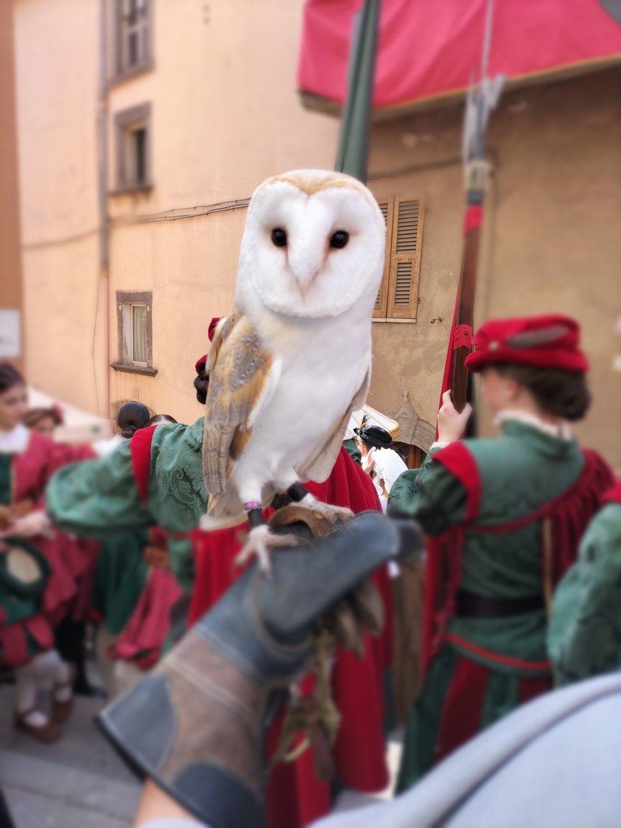 Marco Bombagi tweet media