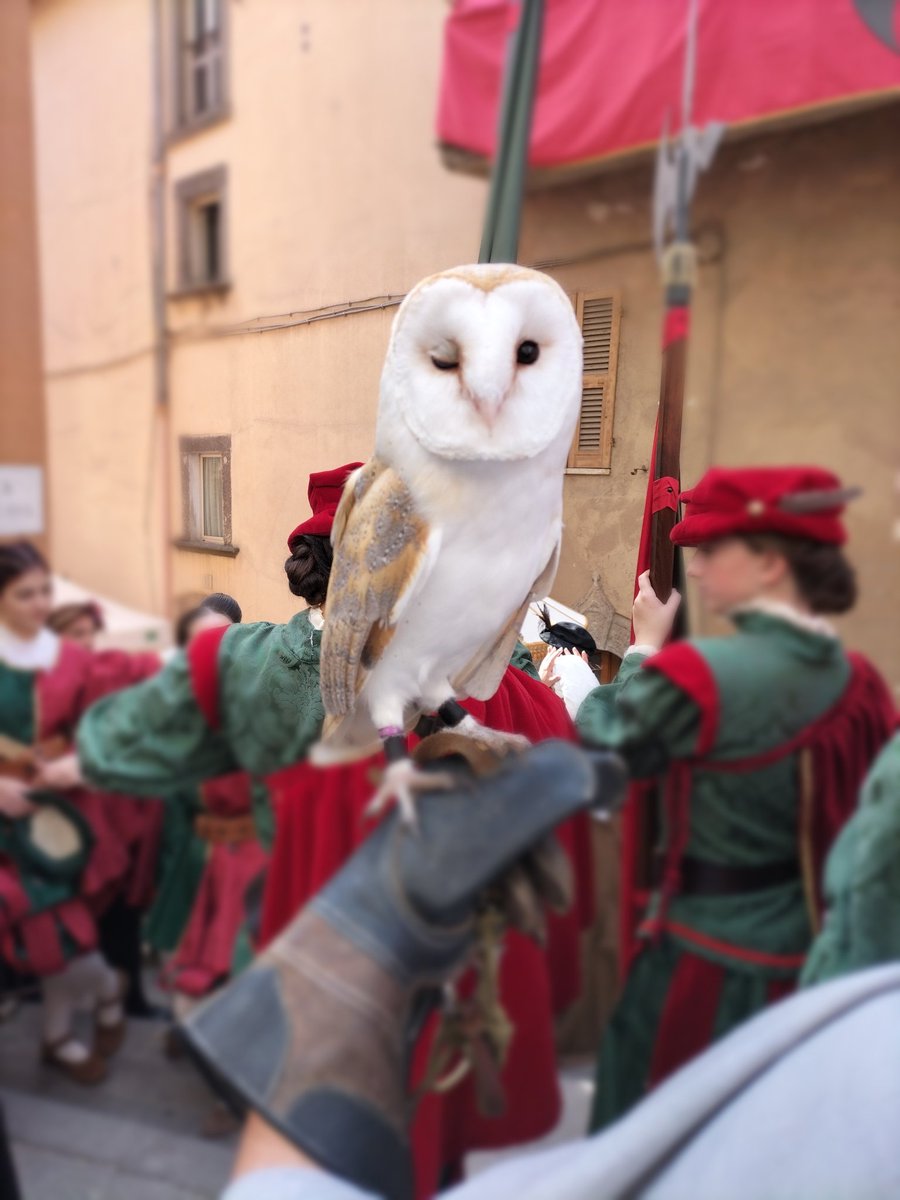 Marco Bombagi tweet media