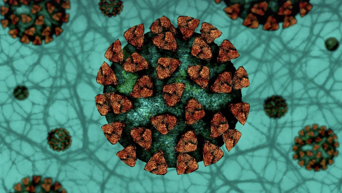 P4H Network tweet media