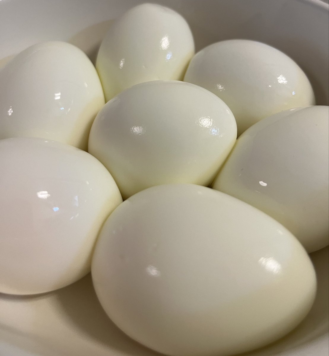 うめさんです☻ うめさん on X