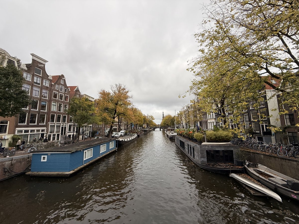 dkd Internet Service GmbH tweet media