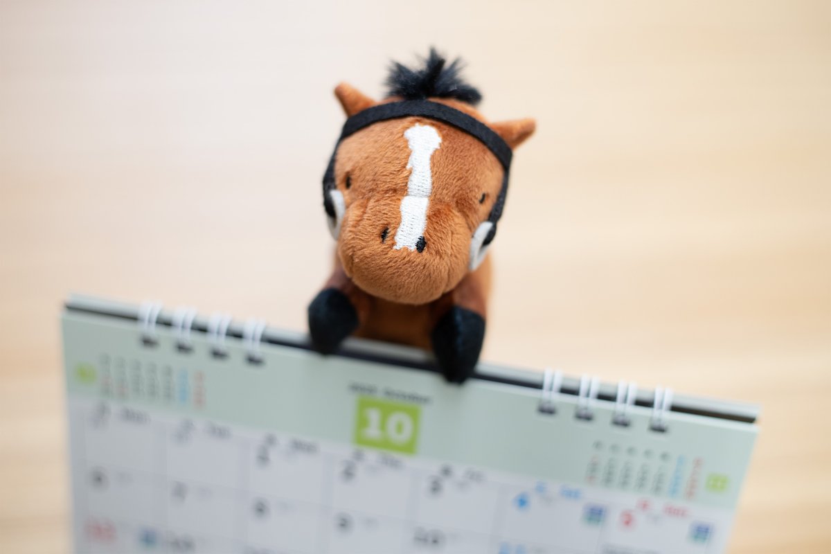 🏇プライズ新商品🏇

／
#サラブレッドコレクション 
ちょこがけマスコット
＼

#ラウンドワン 限定で10月15日(水)より順次発売✍🏻
🔗sk-japan.co.jp/charatoru/char…

▽くわしくは引用元のポストから▽