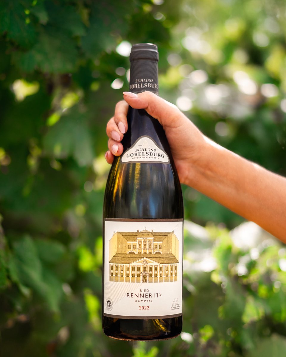 vilaviniteca's tweet photo. Schloss Gobelsburg, fundada hace más de 8 siglos, es una de las bodegas más antiguas de Austria. Su Grüner Veltliner Ried Renner 1ÖTW 2022 es un gran blanco de Kamptal, perfumado y elegante en boca, que evolucionará muy bien en botella. #vinodeldía https://t.co/PQSo9x1dl5 https://t.co/M2kix2prZA