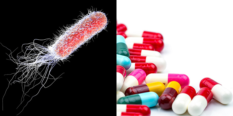 reactgroup's tweet image. NEW REPORT!
@WHO warns of widespread resistance to common antibiotics worldwide.
Antimicrobial resistance #AMR continues to rise as a major global health challenge, weakening the effectiveness of life-saving treatments and increasing risks from everyday infections and routine…
