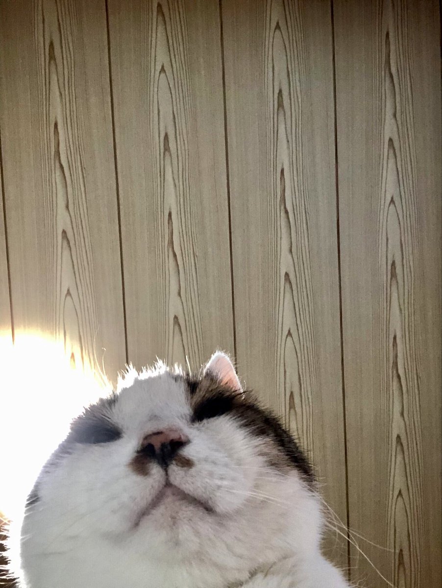 朝の景色