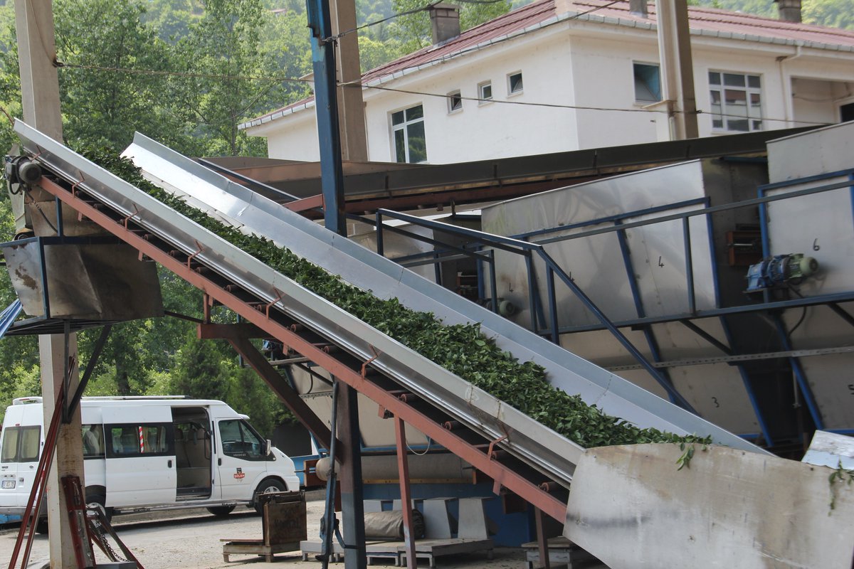 Yönetim Kurulu Başkan Yardımcımız Yavuz Selim Çakıroğlu, Türkiye çay sektörünü ekonomik ve yapısal açıdan değerlendirerek sektörde yapısal çözülme, finansal baskı, kalite erozyonu ve denge arayışının belirleyici hale geldiğine dikkat çekti.
tb.org.tr/tr/cayin-gerce…