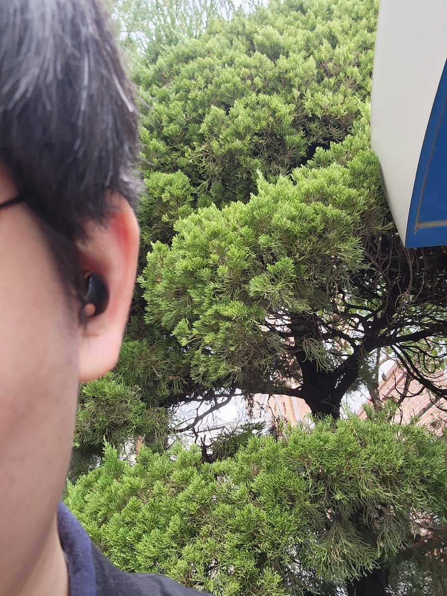 머리 잘라야될 시기가 왔다...