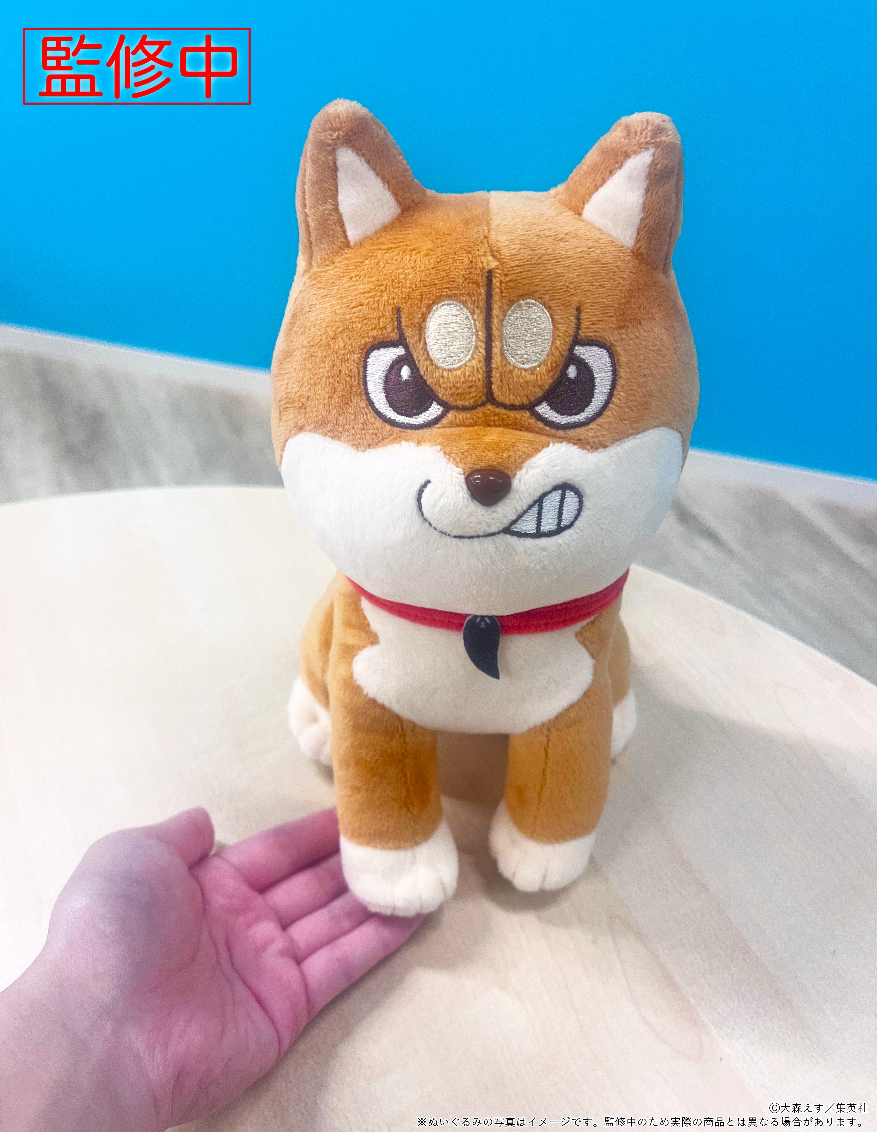 み【未使用新品】しぃちゃん バケハ ホワイト 親子セット(大人用＆子供用) 2025年最新】しーちゃん キャスケットの人気アイテム - メルカリ