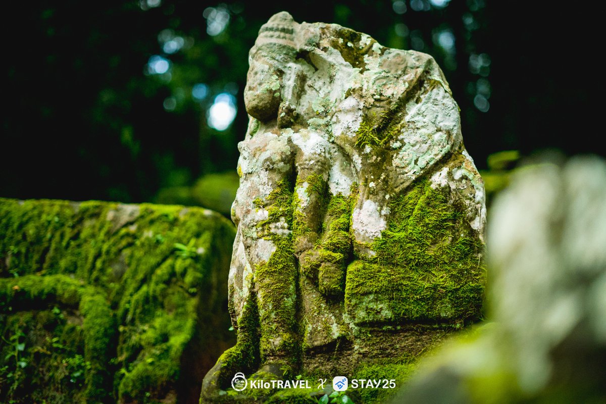 TravelKilo94308's tweet photo. ប្រាសាទបាលិលេយ្យ ( PalilayTemple )នៅរដូវបៃតងមានទេសភាពស្រស់បំព្រង ស្លែបៃតងដុះលើថ្មបុរាណបង្កើតនូវទស្សនីយភាពដ៏ប្លែកភ្នែក 
ផលិតដោយ៖ #KiloTRAVEL
#បរាសាទបាលិលេយ្យ https://t.co/G5lMO2UJfW