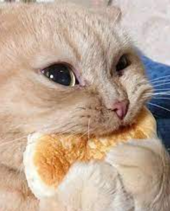 Sky Connect tweet media