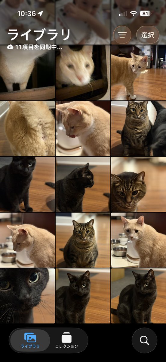 梅ちゃんページ CHARACTER | 総立ちアニメーション！「ZEPHYR」