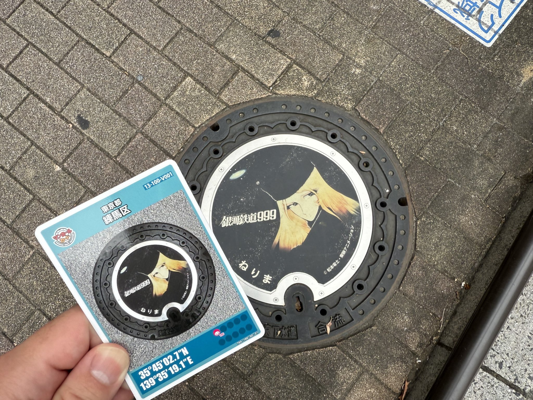 マンホールカード東京練馬区 マンホールカード東京都練馬区V001