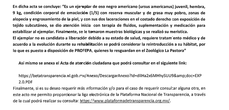 Lucía Hernández | Amo La Ciencia tweet media