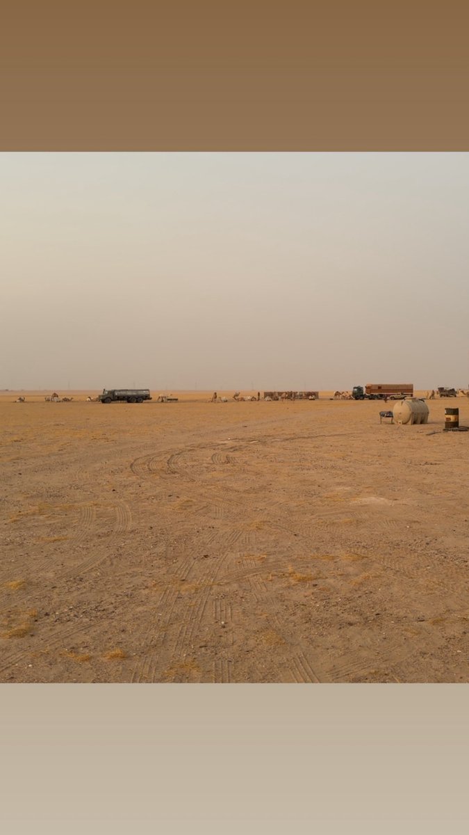 Sunrise Moments 🌅