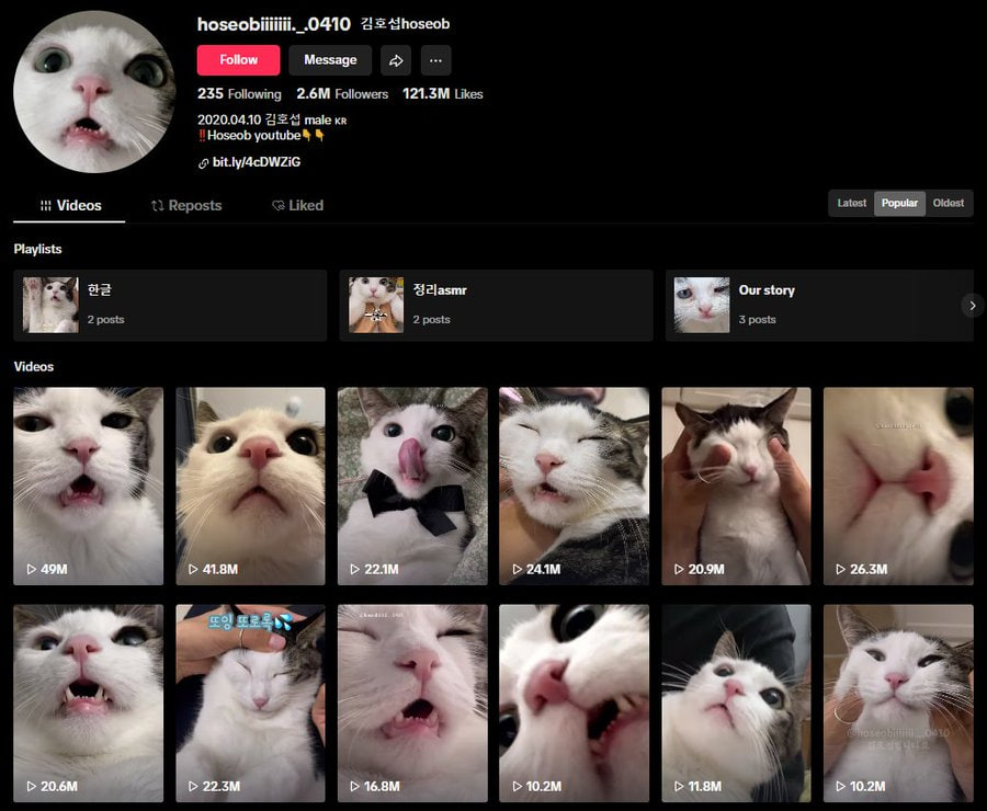 elmnthq's tweet photo. This is the adorable Hoseob 호섭. She is one of the most popular, if not the most popular cat in all of Korea 🇰🇷   

She doesnt only get 100s of million views, but she in also an absolute cutie.  

Take a look at her TikTok Channel 📷👇
https://t.co/iL7Gsm2YqX https://t.co/aiqVNyQ0BX