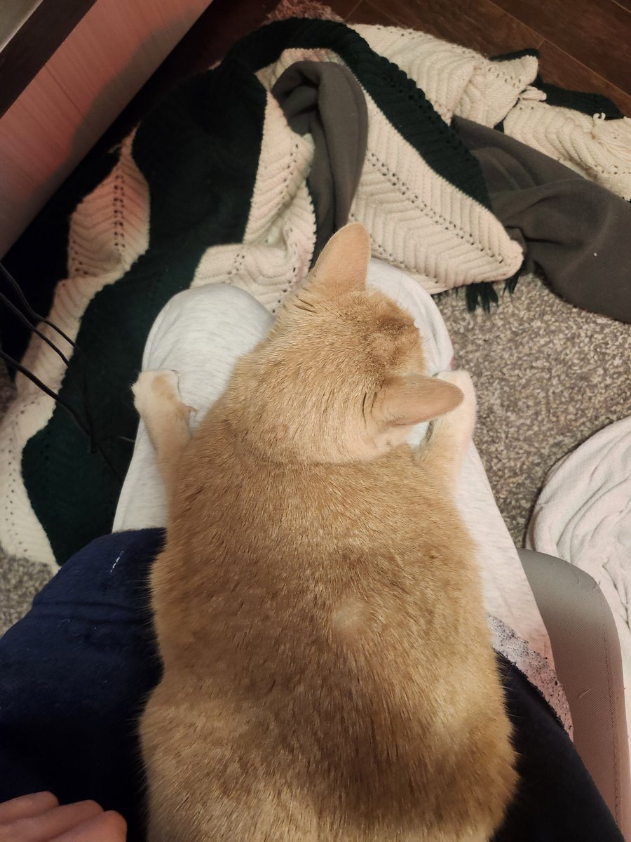 Dark Carney 🇨🇦🇪🇺 (@alexistakethree) on Twitter photo 