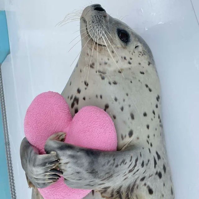 get yourself someone who will hold you like this❤️