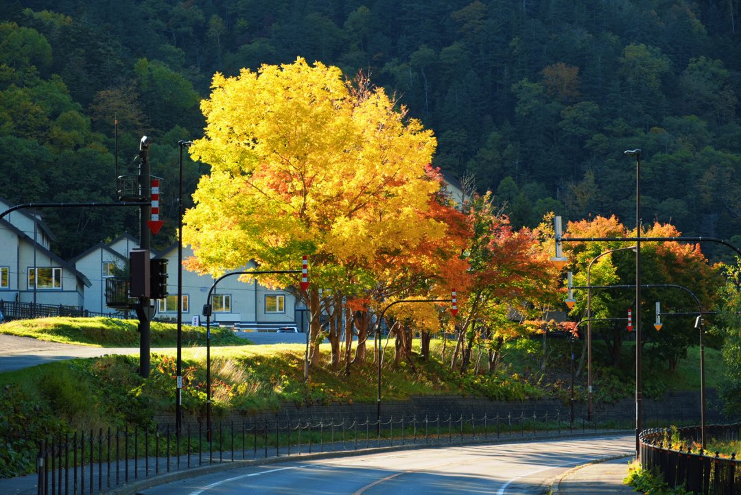 nwndu_Sandy's tweet image. 秋の美しい景色🍂、色と風景が本当に魅力的で、いつか自分の目で見に行くのが楽しみです😊