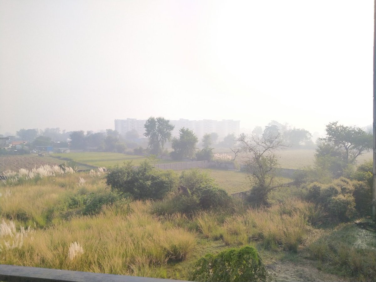The morning has started with light fog. The cold has started here and what is the situation at your place. Right now