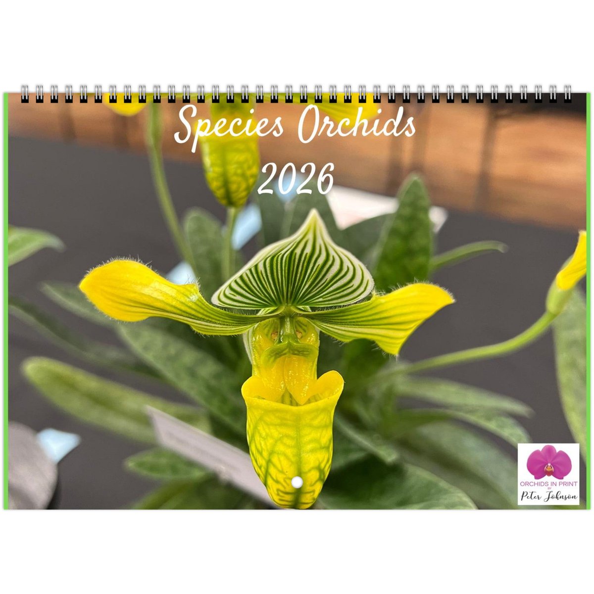 OrchidsInPrint's tweet photo. Discover the rare and captivating world of wild orchids with the Species Orchids 2026 Calendar. Featuring images of unique orchid species from around the globe, perfect for collectors, and flower enthusiasts. In US/Can and rest of the world formats

https://t.co/IyZSEVbAZx https://t.co/HzLR6zqeTp