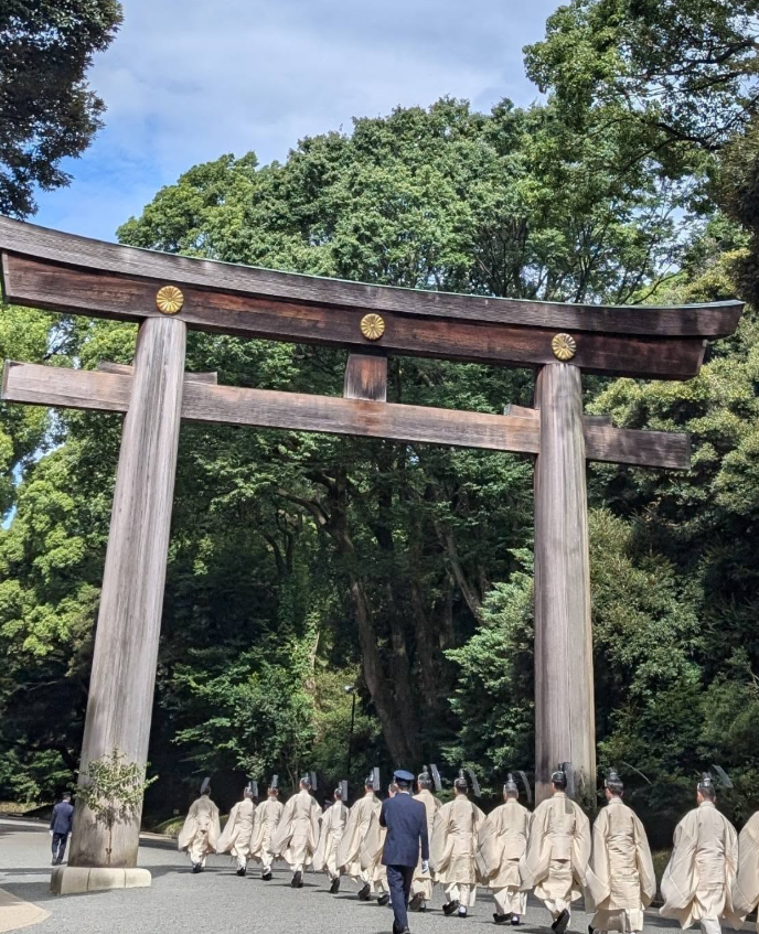 アオ【白兎霊視占い師】 tweet media