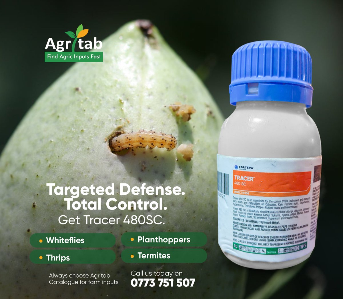 agritabcart's tweet image. Pest problem? Get the solution! Tracer 480SC delivers Total Control against Whiteflies, Thrips, Planthoppers, and Termites.
Targeted Defense for your crops, available from Agritab.
Call 0773 751 507.
#Insecticide #FarmInputs #CropProtection #agritabcart