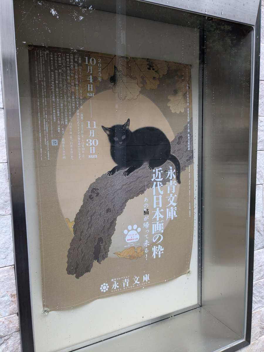 重要文化財「黒き猫」修理完成記念「永青文庫　近代日本画の粋―あの猫が帰って来る！―」

東京国立近代美術館の「重要文化財の秘密」のときには観れなかった、念願の《黒き猫》を観れた！
もふもふ感が凄い！

横山大観の《柿紅葉》も琳派風で見ごたえあった〜
#美術館