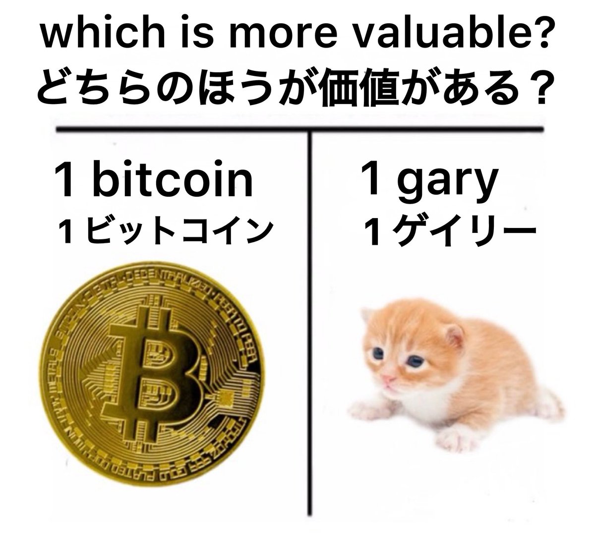 Gary’s World 🌎 tweet media