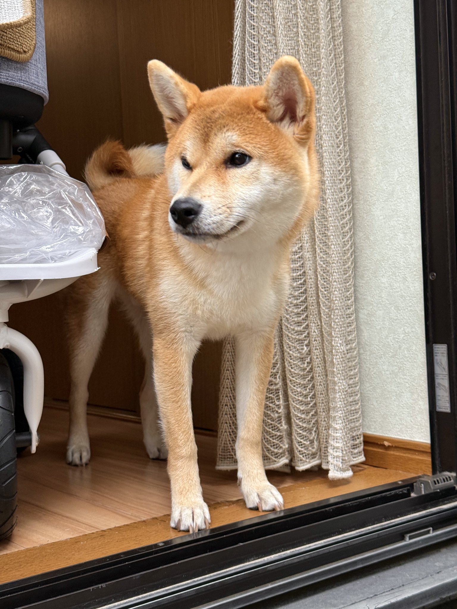 大柴さん専用 ROCK'ANDO六感堂®︎ 渡邊 直樹 on X: 