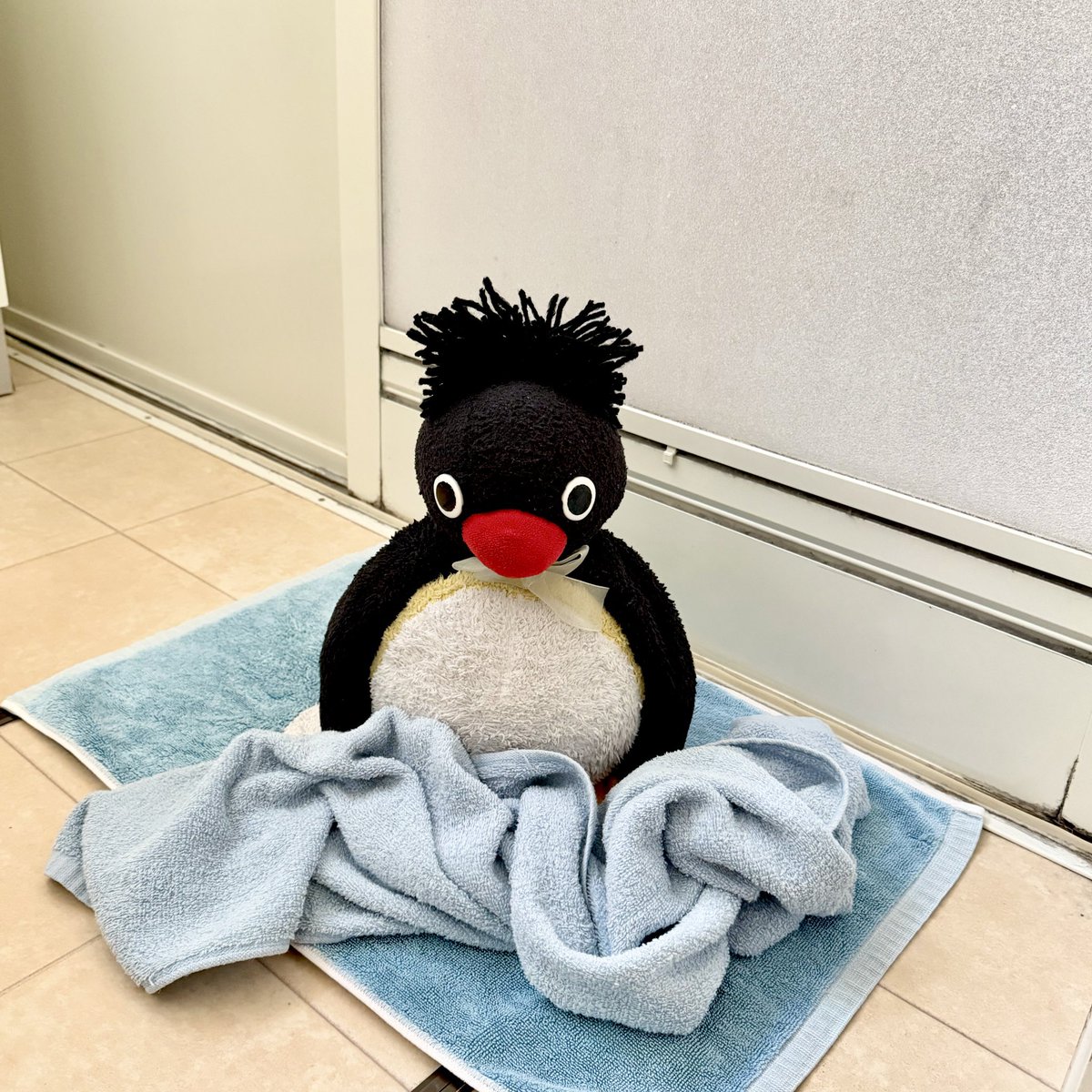 🐧🛁