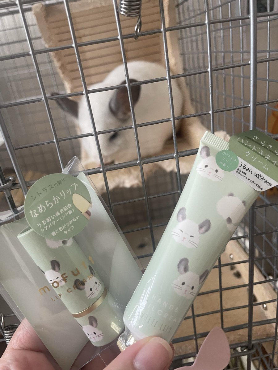 遅くなったけどお友達に貰ったよ✌️ずっと欲しかったから嬉しすぎる😭