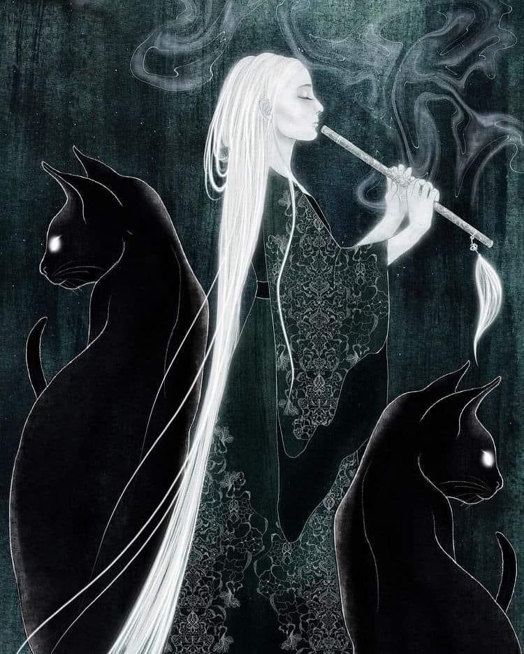 RubyFaesRealm's tweet image. To work in the dark, you must be able to hold your own light, and still be intimate with the darkness.
~ Thomas Lloyd Qualls, Author
Art by ~ Signum Noir
#seasonofthewitch