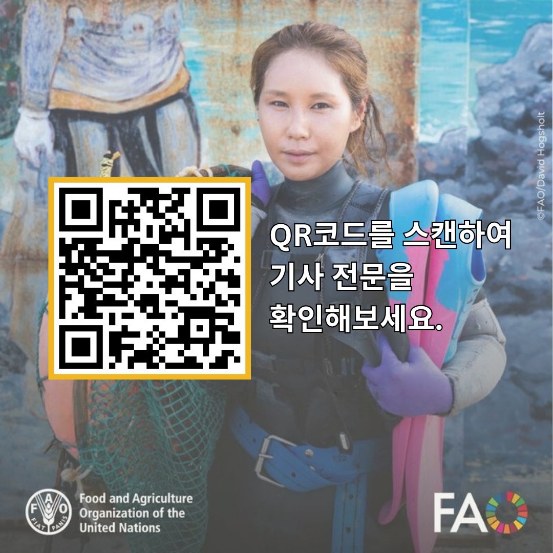 🌊 대한민국 제주도, 해녀들은 산소통 없이 최대 20m까지 잠수하며 바다를 지키는 지속가능한 어업 방식을 이어가고 있습니다.

이 전통은 FAO #GIAHS(세계중요농업유산)으로 등재되었으며, 해양 생태계를 지켜온 지혜로운 유산으로 인정받고 있습니다.

🔗bit.ly/4mPlsoJ