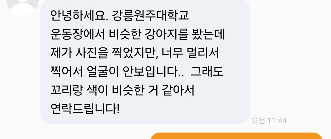 nomorelostpets's tweet photo. 강릉원주대학교
단비 목격소식입니다! 강릉 원주대 인근 거주하시는 분들이나 원주대 다니시는 분들
당근이나 에타에 좀 올려주실 수 있을까요!?🙏

타래에 단비 사진과 전단지 다시 올리겠습니다🙏 https://t.co/aFyk50yDTq