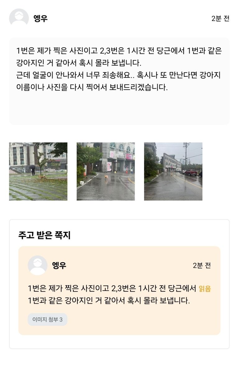 nomorelostpets's tweet photo. 강릉원주대학교
단비 목격소식입니다! 강릉 원주대 인근 거주하시는 분들이나 원주대 다니시는 분들
당근이나 에타에 좀 올려주실 수 있을까요!?🙏

타래에 단비 사진과 전단지 다시 올리겠습니다🙏 https://t.co/aFyk50yDTq