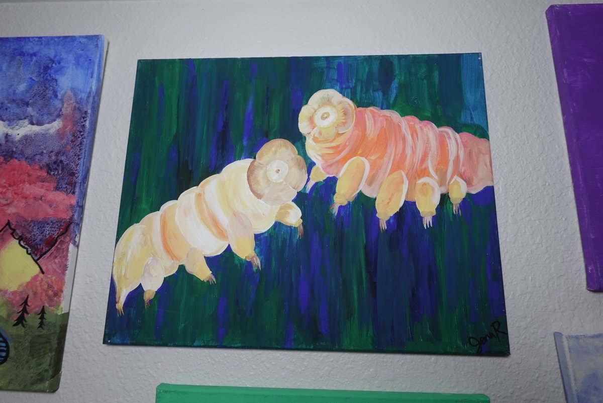 JenaRangnow's tweet image. Me and my lover meeting at the bottom of a volcano in another life #waterbear #tardigrade