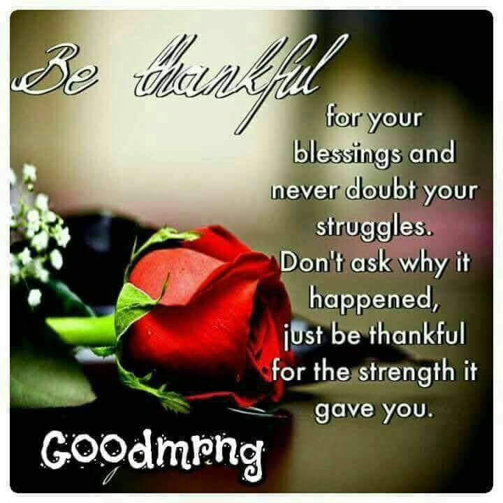 Good morning ChooseDay 🌷