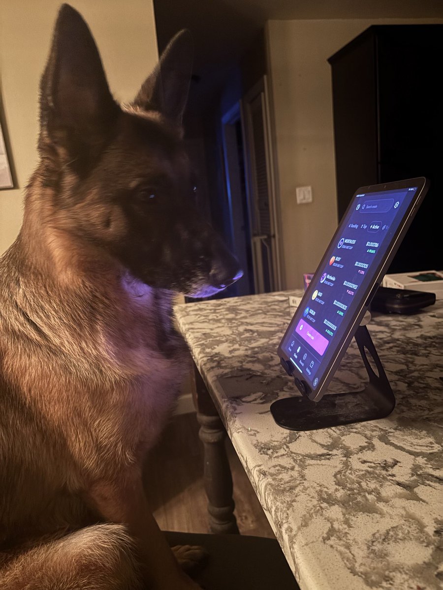 JudgingDogSol's tweet photo. @moonshot @solana 
The crypto your dog silently side-eyes you for not buying sooner.
She’s not mad. Just disappointed.

CA: 2Ds1eoFvHbXsP9PamPmhQQak9HHMFf6wAvbXBKgQmoon

#JudgingDog #memecoin #Solana #Sol https://t.co/hTC1NfLAcv