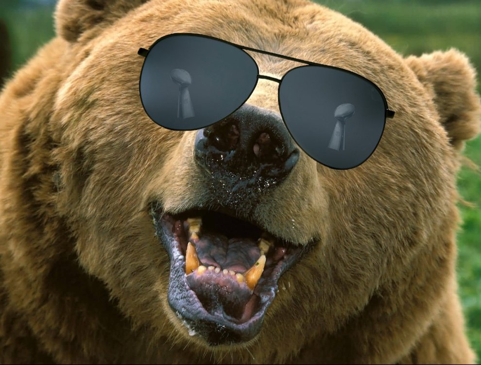 OVERCAME THE COMMANDERS
OVERCAME THE REFEREES
OVERCAME ADVERSITY
THE CHICAGO BEARS