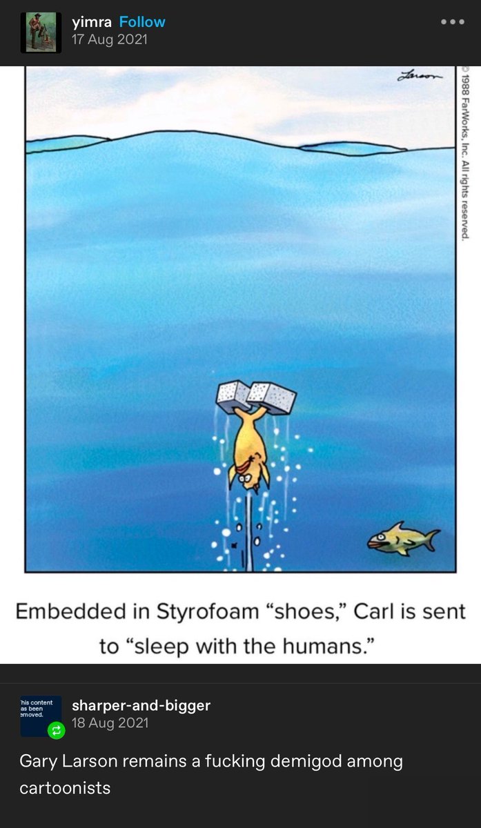 dinosaur (@dinosaurs1969) on Twitter photo 