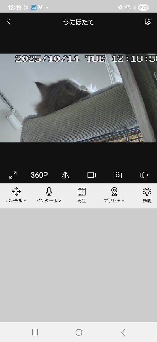 絶対上向い寝ててかわいい