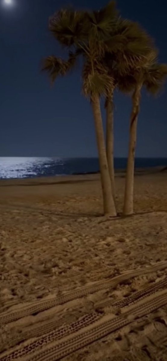 أصبح الحب ذكيا لدرجة التبلد الحسي.....؛؛