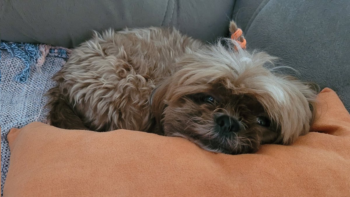 ֹ (@eusoakuki) on Twitter photo 