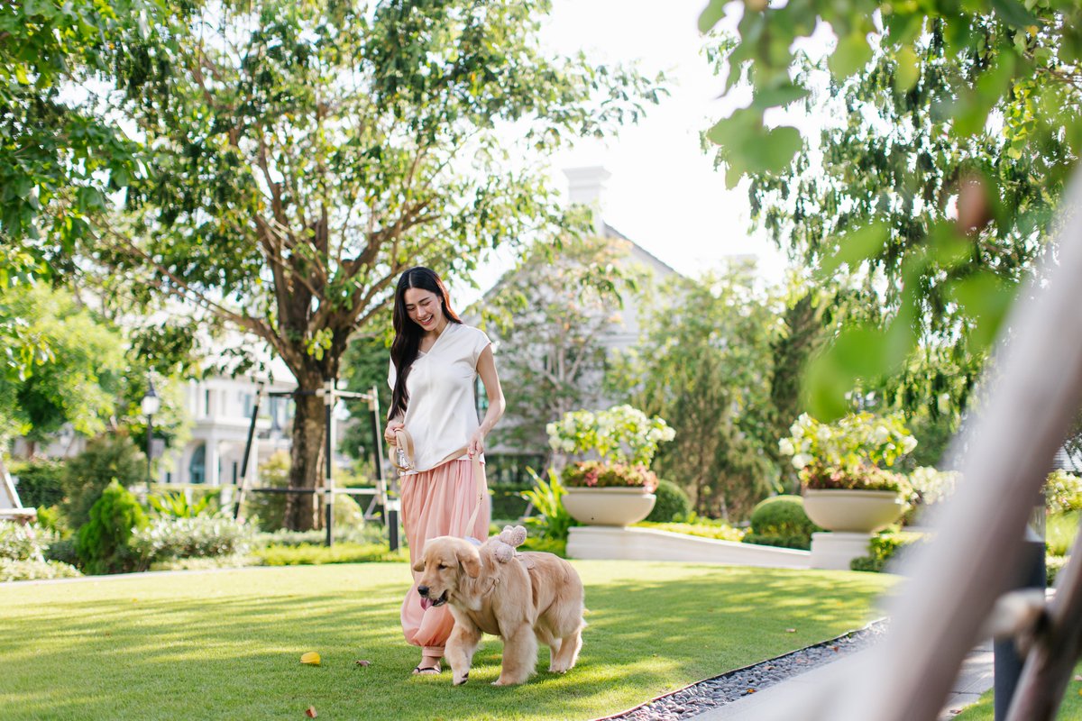 นิยามของคำว่า “ชีวิตดี” ของคุณเป็นแบบไหน?

🍃 Grandeur Garden Serenity สวนขนาดใหญ่ มีร่มไม้และพื้นที่แห่งความสงบ ผ่อนคลาย ให้คุณเติมเต็มช่วงเวลาความสุขได้ทุกวัน 🐕💕

📸 ณริณสิริ กรุงเทพกรีฑา คลิก: siri.ly/I1hvFY1

#หลิงหลิงคอง #LingLingKwong #Sansiri