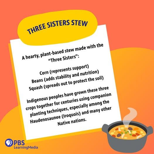 SubRosaMagick's tweet image. This Indigenous Peoples’ Day, explore the story behind a traditional dish: Three Sisters Stew.
More than a recipe, it’s a reflection of Indigenous agricultural wisdom and community values.
via PBS Teachers
Recipe link in comments
#IndigenousPeoplesDay