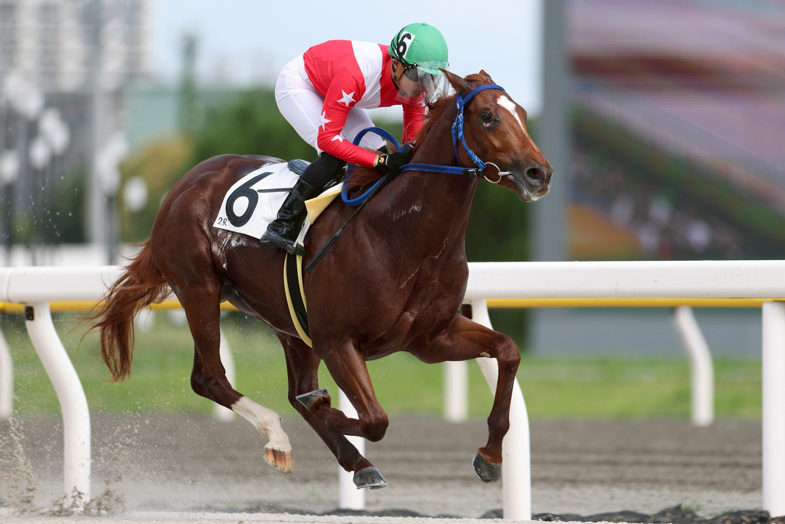 船橋ケイバ on X: 